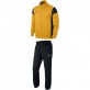 NIKE ACADEMY 14 SOUPRAVA PÁNSKÁ POLYESTER - Žlutá, Černá č.1