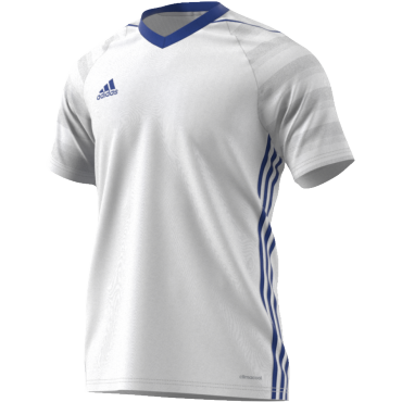 ADIDAS TIRO 17 DRES KRÁTKÝ RUKÁV PÁNSKÝ - Bílá, Modrá č.3