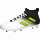 ADIDAS ACE 17.3 FG J KOPAČKY DĚTSKÉ - Bílá, Černá č.14