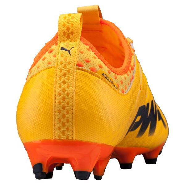 evopower vigor 2 fg