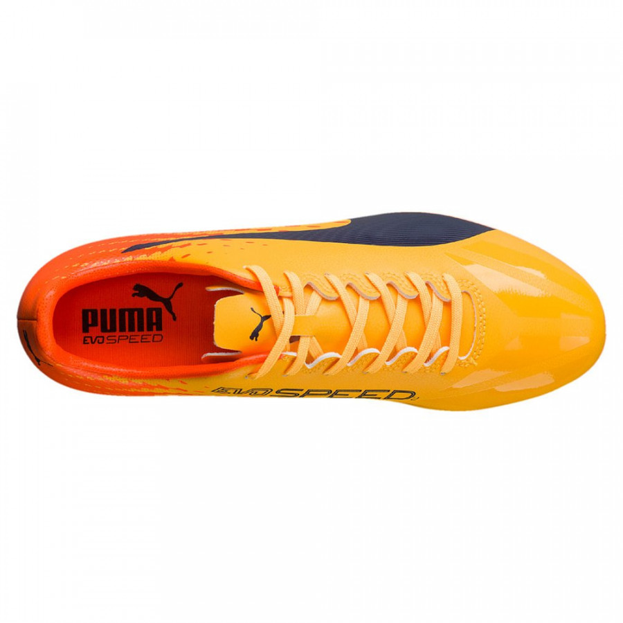 Puma sales evospeed 17.2