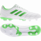 ADIDAS COPA 19.3 FG KOPAČKY PÁNSKÉ - Bílá, Zelená č.1