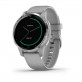 GARMIN VIVOACTIVE 4S GPS HODINKY Silver/Gray Band č.1